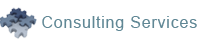 software applications india